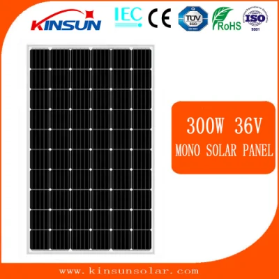 工場でカスタマイズされたソーラーシステム用の300W高品質モノラル太陽電池パネル